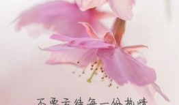 新闻爆料正能量短句,传递正能量，汇聚社会温暖